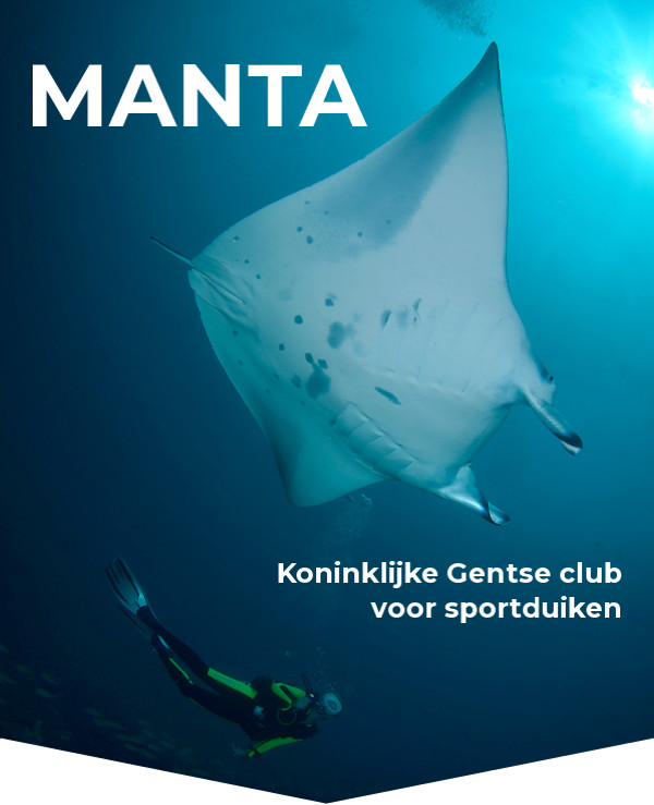 Leer duiken en volg jouw duikopleiding bij duikclub manta in Gent