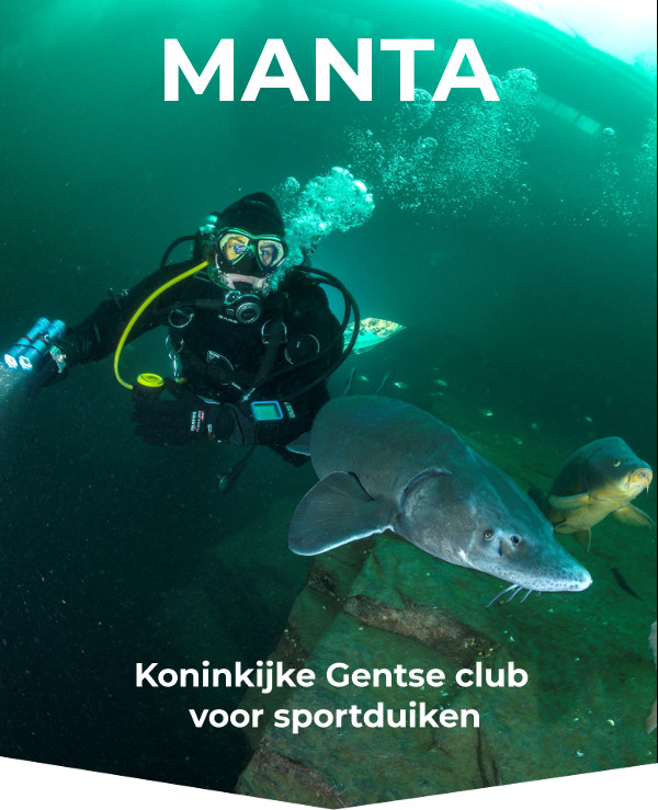Leer duiken en volg jouw duikopleiding bij duikclub manta in Gent